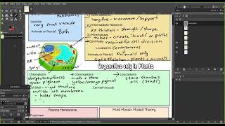 Biology  Module 4  Class Notes p 34 new [upl. by Hayden]