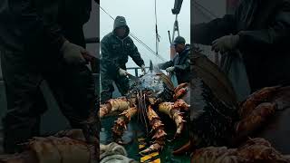 fishing 🦑 squid あい fish seaworm 🐍 すばらしい 釣り sealife amazing 海の生物 मछलीपकड़ने mancing [upl. by Gnues]