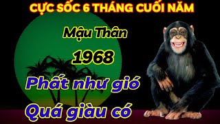 TIÊN TRI ĐIỀM LÀNH MẬU THÂN 1968 HỢP VÍA THẦN TÀI  ĐÚNG 6 THÁNG CUỐI NĂM PHẤT NHƯ GIÓ CỰC GIÀU CÓ [upl. by Gnouhc]