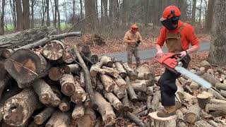 Turning a Mountain of Logs into Firewood [upl. by Nayar]