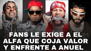 REACCIÓN DE ROCHY RD A LA TIRADERA Y DECLARACIONES DE YOVNG CHIMI  EL ALFA DEBE ENFRENTAR A ANUEL [upl. by Anniahs]