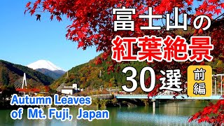 富士山の紅葉絶景ベスト30選（前編）  山中湖・河口湖・紅葉台・白糸ノ滝・丹沢湖・箱根  Top 30 best views of Mt Fuji amp Autumn Leaves Part 1 [upl. by Edieh66]