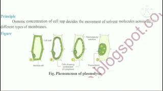 very important practical for 12th board practical examTo study of plasmolysis epidermal peel [upl. by Raimundo486]