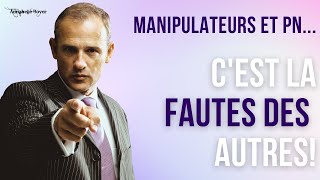 17 Manipulateurs  Pervers narcissiques ★ Cest la faute des autres [upl. by Beaver]