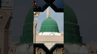 Tilawat e Quran e pak explore beautiful funny quranrecitataion foryou [upl. by Eicrad]