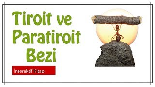 AYT Biyoloji  Tiroit ve Paratiroit Bezi sayfa32 [upl. by Obellia]