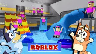 POLICE GIRL WATER SLIDE PRISON  Bluey Plays roblox obby [upl. by Jarrell]