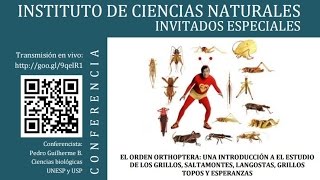 Una introducción a el estudio de los grillos saltamontes langostas grillos topos y esperanzas [upl. by Cherin]