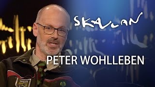 quotThe Hidden Life of Treesquot Peter Wohlleben  Interview  SVTNRKSkavlan [upl. by Esital]