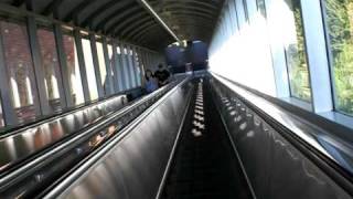 Montgomery Escalator at Pittsburgh Zoo Pittsburgh pa retake [upl. by Rooker]