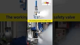 The working principle of safety valve mechanical industrial valve [upl. by Reeher]