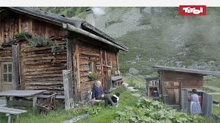 Leben auf der Alm  Almhütten in Tirol Österreich 🐮 [upl. by Liddie]