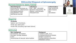 Hematology 14a  Lymphadenopathy splenomegaly and hypersplenism [upl. by Edecrem]