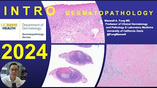 DERMATOPATHOLOGY Introduction to Dermatopathology 2024 [upl. by Adnilev]