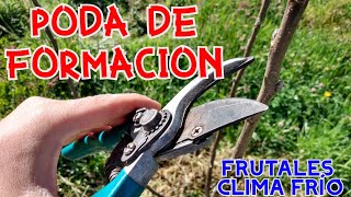 PODA DE FORMACIÓN  PRIMEROS MESES  FRUTALES CLIMA FRÍO CADUCIFOLIOS MANZANO  CIRUELA  PERA [upl. by Eerbua]