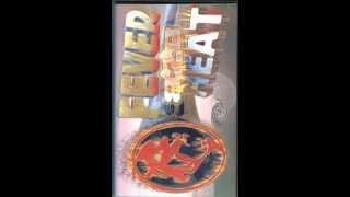 Dj Ray Keith Heat Jungle Fever 99 Part 2 [upl. by Aisereht]