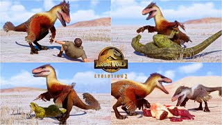 UTAHRAPTOR all Hunting Social Pack Chaser and other animations in Cretaceous Predator Pack [upl. by Ellehcyt]