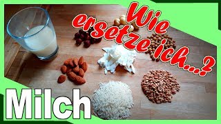 Die Milch machts NICHT  Wie ersetze ich Milch beim Kochen Backen im Müsli Shake oder Kaffee [upl. by Cleti]