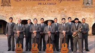 TE JURO QUE TE AMO RONDALLA DE AGRONOMÍA UASLP [upl. by Sharyl]