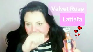 Resenha Velvet Rose  Lattafa [upl. by Lemmor]