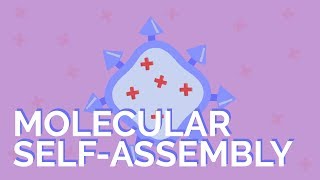 What is molecular selfassembly [upl. by Ahsaf294]