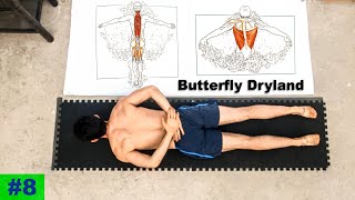 Butterfly dryland swimming workout Episode 8 Exercises for swimmers [upl. by Zetrauq]