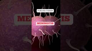 Meningitis Señales de Alerta y Tratamientos meningitis alerta sintomas salud [upl. by Eoz423]