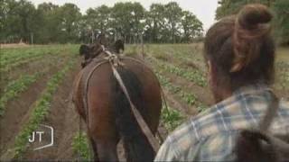 La traction animale une technique dautrefois Vendée [upl. by Oah771]