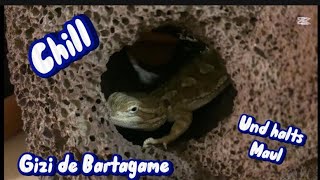 Gizi de Bartagame [upl. by Brennen]