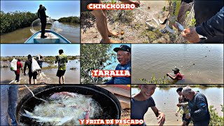 TIRANDO UN CHINCHORRO Y TARRALLANDO PARA SACAR PESCADO Y COMER ASI NOS FUE ‼️ [upl. by Mainis]