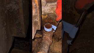 Replacing a steam radiator valve plumbing hydronyc fyp [upl. by Parris159]