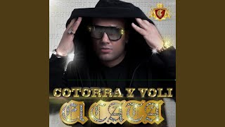 Cotorra Y Voli feat Pitbull [upl. by Amle]