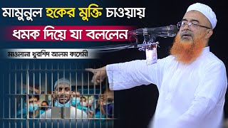 মামুনুল হকের মুক্তি চাওয়ায় ধমক দিয়ে যা বললেন ৷ মাওলানা খুরশিদ আলম কাসেমী [upl. by Kcirdled770]