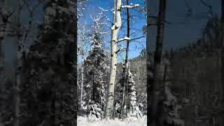 Snowmelt in Evergreen CO snow [upl. by Yrevi]