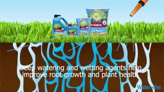 How to help the soil in your garden absorb and retain more water using Yates Waterwise [upl. by Loftis135]