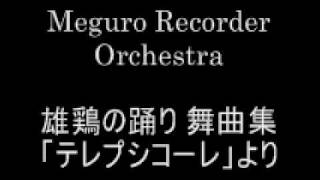 Meguro Recorder Orchestra  雄鶏の踊り [upl. by Atteloc]