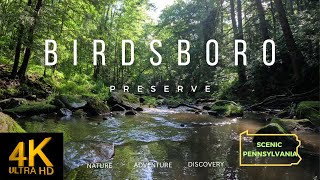 BIRDSBORO PRESERVE  INITIAL EXPLORATION and the THOUSAND DOLLAR MISTAKE [upl. by Lower]