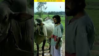 Watch full video👆 Murattu Kaalai Super Scenes  Watch and enjoy murattukaalai rajinikanth shorts [upl. by Ariaet778]