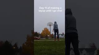 Day 11 of making a layup until I go viral basketball viral [upl. by Jeanelle]