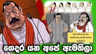 ඇපත් නැතුව ගෙදර යන අපේ ඇමතිලා 😜🤪 MrBaila parliament akd npp jvp baila [upl. by Anialahs]