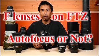 Nikon Z camera  FTZ adapter amp F mount lenses compatibility [upl. by Mou429]