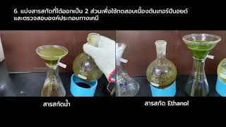 Phytochemical screening Terpenoid [upl. by Dnalyr342]