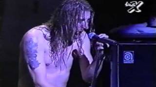 Paradise Lost  Hallowed Land Live Monsters Of Rock Chile 95 [upl. by Ailalue]