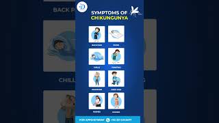 🌿 Stay Informed Symptoms of Chikungunya 🌿 [upl. by Uriiah]