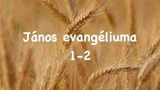 Janos evangelium 12 Efo [upl. by Nyvlem]