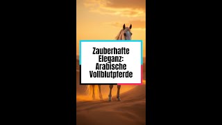 Zauberhafte Eleganz Arabische Vollblutpferde pferd eleganz [upl. by Anair632]