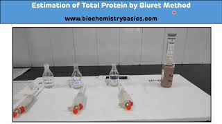 Biurets test Part 1 Identification of Proteins [upl. by Jeanine]