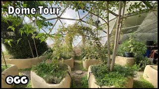 Lush Geodesic Dome Greenhouse in the Desert [upl. by Sophronia64]