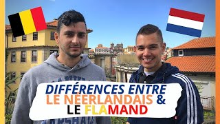 Quelles sont les différences entre le flamand et le néerlandais des PaysBas  Le flamand  🇳🇱🇧🇪 [upl. by Anastassia351]