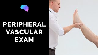 Peripheral Vascular Examination  OSCE Guide Latest  UKMLA  CPSA [upl. by Halsey]